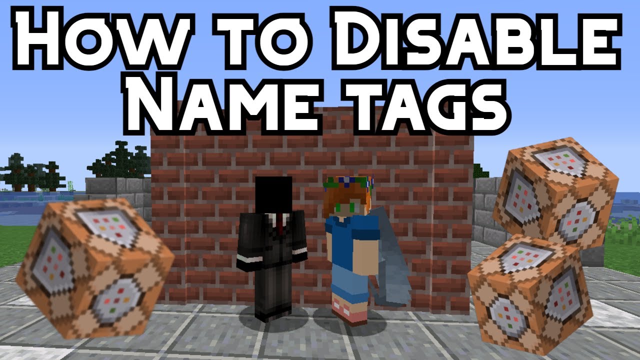 How To Disable Name Tags In Minecraft For 1.16.5 - YouTube