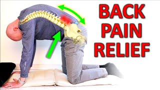 7 Great Exercises for Low Back Pain & Stiffness