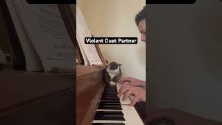 Worst cat to play piano with and the best cat to play piano with