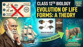 How Did Life Evolve Darwin, Special Creation & Natural Selection | Class 12 Biology Part 3