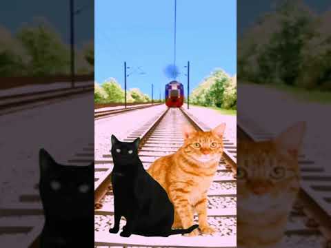 Vfx Magic Train Video In Cat Man Shorts YouTube Funny