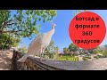 DJI Osmo 360 - ботанический сад Ажуда в Лиссабоне - панорамная съемка - 360 градусов в разрешении 8К