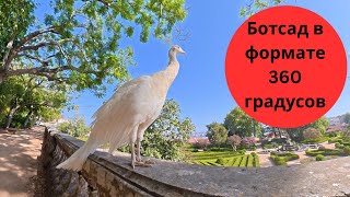DJI Osmo 360 - ботанический сад Ажуда в Лиссабоне - панорамная съемка - 360 градусов в разрешении 8К