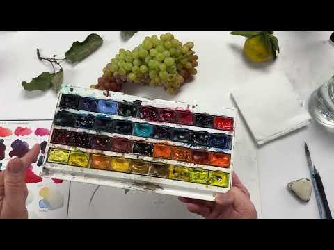 Как рисовать с натуры? Рисуем виноград кишмиш, акварель. Художник Лилия Бето