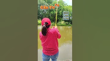 Cần câu toro #shorts | Dã Ngoại Cùng Lan