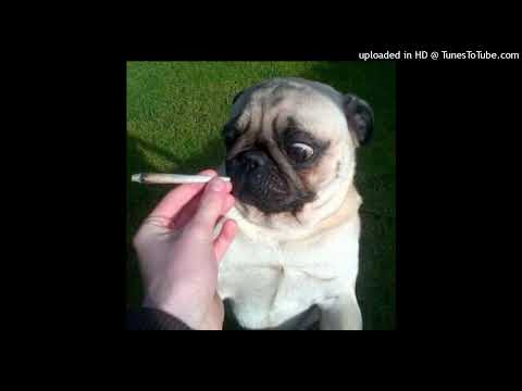 lunchbox + 800pts + amir.pr0d + newjazz type beat