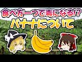 食べ方一つで毒になる!?「バナナ」について【ゆっくり解説】