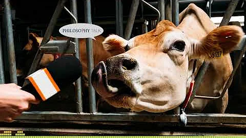 Hacking the Brain: Roving Philosophical Report