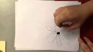 Capillary Tube Time Lapse
