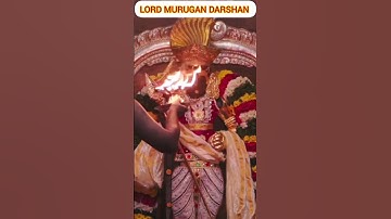 Lord Murugan Darshan #murugan_whatsapp_status #lordmuruganwhatsappstatus #murugantemple#murugansongs