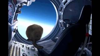 Red Bull Stratos Supercat edition - free fail from space