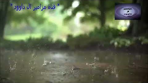سورة الفاتحة بصوت شيخ رعد بن محمد الكردي .. تلاوة جميلة