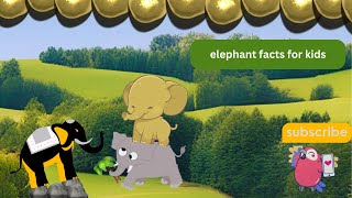 math kids like | elephant facts for kids