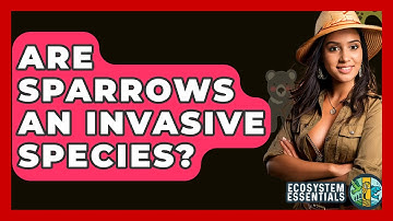 Are Sparrows An Invasive Species? - Ecosystem Essentials