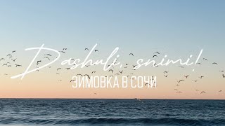 картинка: ЗИМОВКА В СОЧИ: ОСОБЕННОСТИ, ПЛЮСЫ И МИНУСЫ