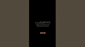 سورة الزمر / القارئ حمزة بوديب / تلاوة خاشعة تريح سمعك