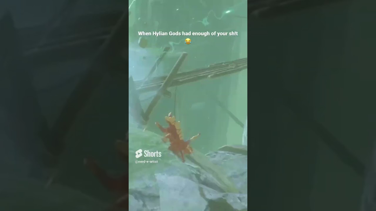 When Hylian Gods had enough of your sh!t 😂