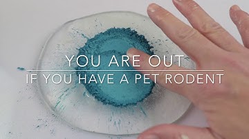 IN OR OUT SLIME GAME! YOU