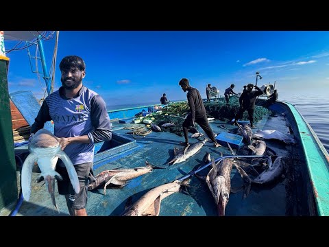‼️DAY - 6  We Are Drifting In Indian Ocean | To Catch The Monsters‼️Deep Sea Fishing