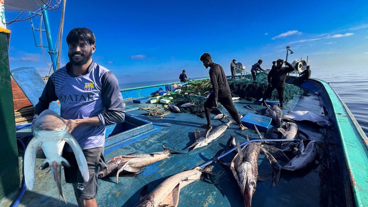 ‼️DAY - 6  We Are Drifting In Indian Ocean | To Catch The Monsters‼️Deep Sea Fishing