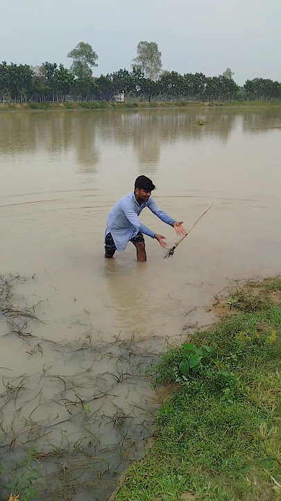 #fishing #shortvideo #goose #sajaungalutkarbhiterebadankida