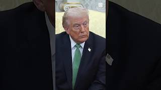 トランプ氏「NATOなどに失望」　ホルムズ海峡の対応要求巡り  #shorts  #毎日新聞