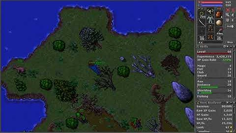 61 Level on Rookgaard - Hunting Spider Cave