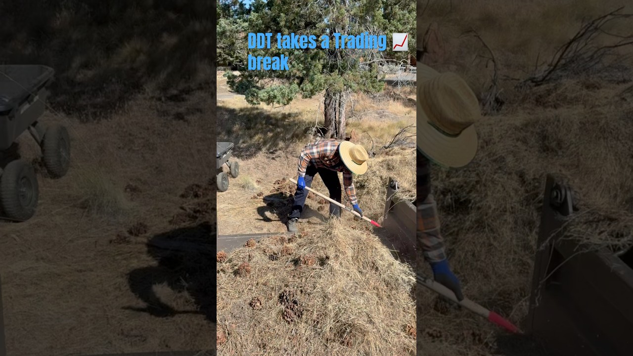 ASMR Yard Debris Removal with Daddy Day Trader: Trading Break  