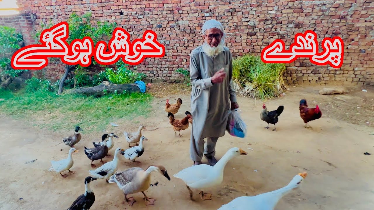 Abu Jee Kay Sub Dewaaney Azmat YouTube abu-jee-kay-sub-dewaaney-azmat-youtube