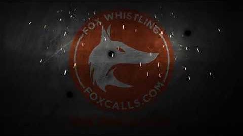 foxcalls.com KOD the flavor of the night