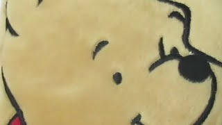 Pooh Softcover Book 🧸 in Japanese and English! | World English School Today