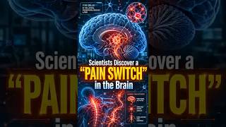 Chronic Pain Could Finally Be Controlled