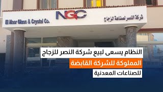 قطار الخصخصة لا يتوقف … النظام يسعى لبيع شركة النصر للزجاج المملوكة للشركة القابضة للصناعات المعدنية