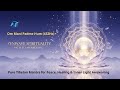 Namo Amitābhāya Buddhāya – Amitabha Buddha Mantra 108× | Deep Peace, Healing & Protection