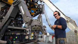 Australian Scientists Discover New Corals of Great Barrier Reef and Coral Sea Marine Parks