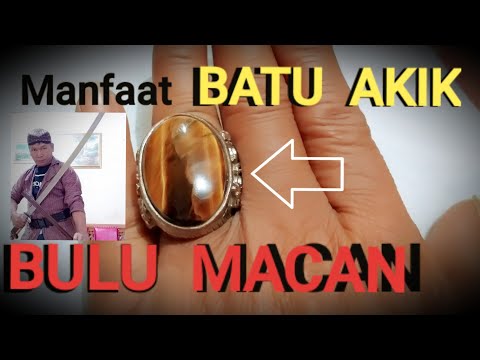 Inilah beberapa macam batu akik mata kucing. Mulai dari batu akik mata kucing biru, batu akik mata k. 