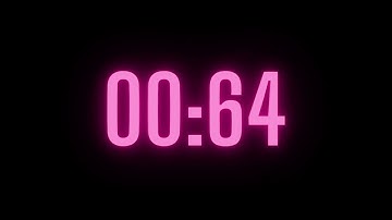 120 Second Timer with Alarm