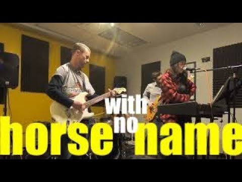 horse-with-no-name---cover-song---linnea-north-band