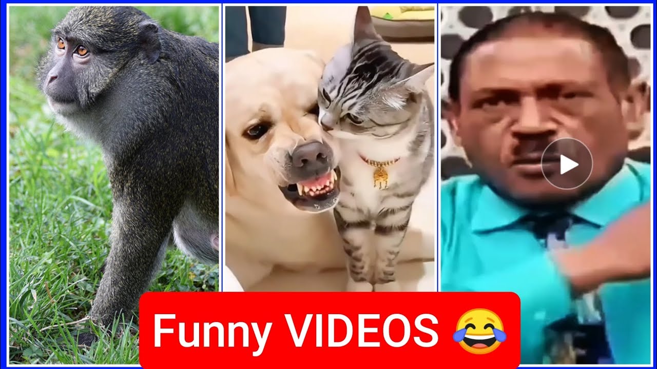 TRY NOT TO LAUNCH 😂🤣 FUNNY Compilation 🤣😂😁 Memes PART         8