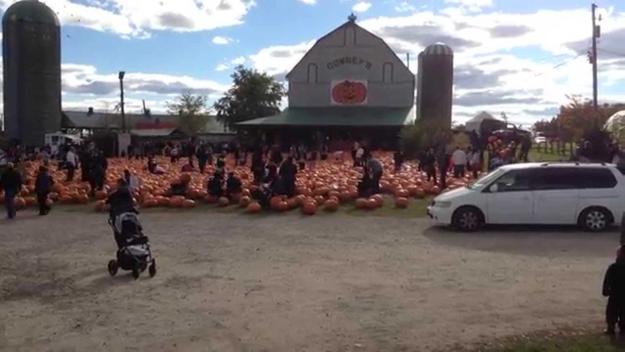 Downey's Farm Market and Winery October 2014