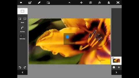 Photoshop Touch on iPad -  Selection Tools Menu