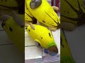 Jackpot claw machine episode 140 #clawmachine #arcade #prize