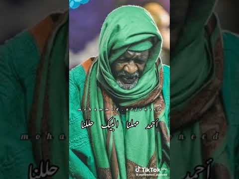 قلبي المعني الليلة حنه