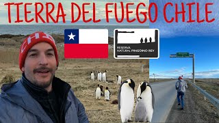 TIERRA DEL FUEGO CHILE 🇨🇱 | La Isla Mas Grande De Sudamerica 🐧