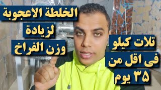الخلطة الاعجوبة لزيادة الوزن تلات كيلو فى اقل من ٣٥ يوم // عشاق الدواجن