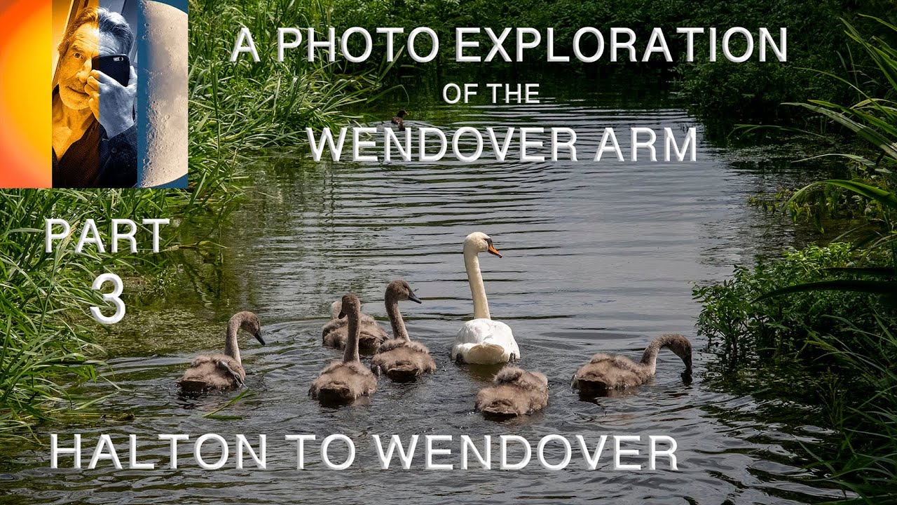 A Photo Exploration of the Wendover Arm Part 3 Halton to Wendover YouTube