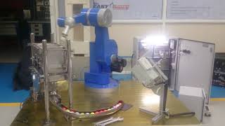 Robotic Colour Sorting