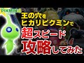 【ピクミン4】王の穴を光ピクミンで超スピード攻略してみたら、ものすごいタイムが…