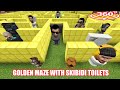 HOW TO SURVIVE in GOLDEN MAZE WITH SKIBIDI TOILETS in Minecraft 360°!