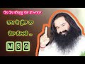 Dera Sacha Sauda Shabad Bani ll Saint MSG ll @kamalinsan123 #saintdrmsg #msg #msgshabad 